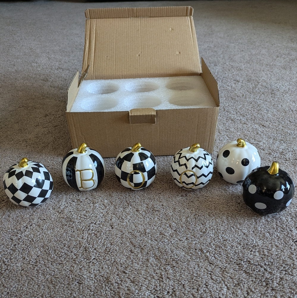 NWT Pumpkin set